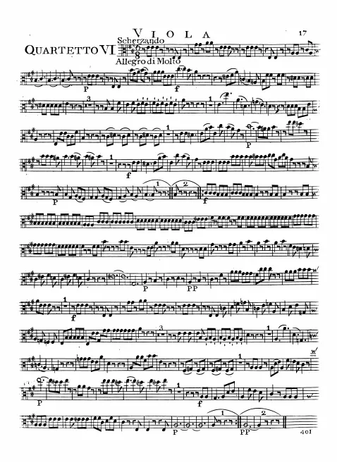 Viola