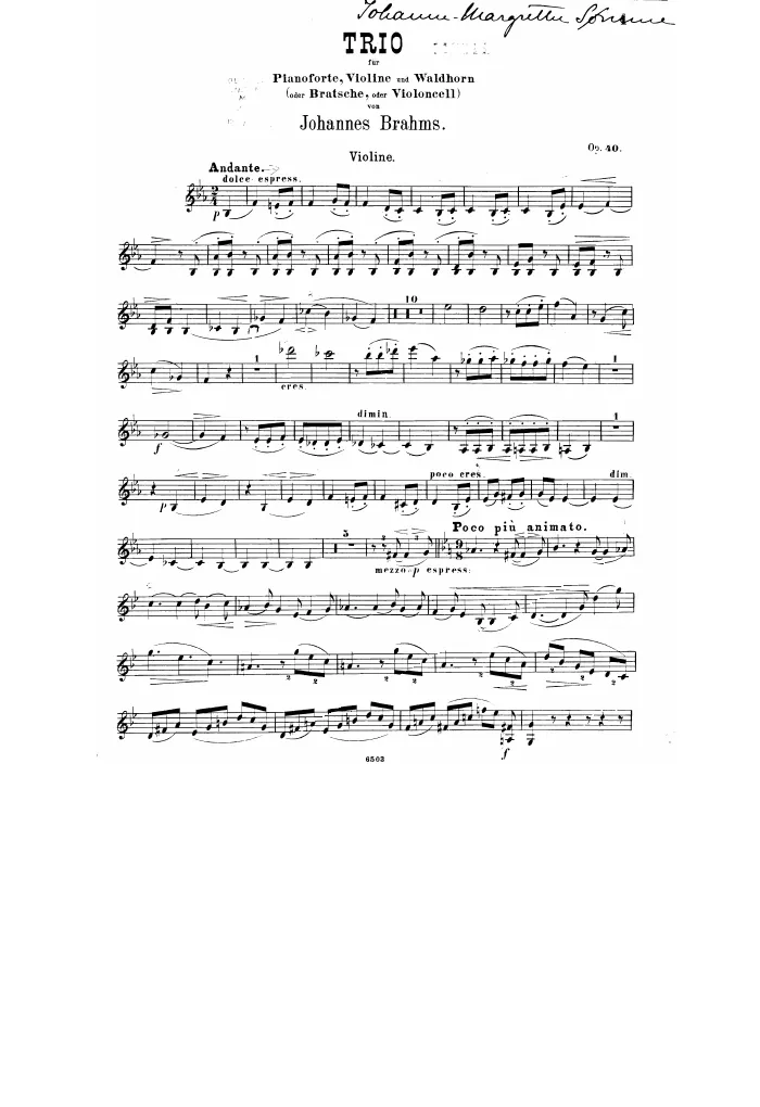 Violin