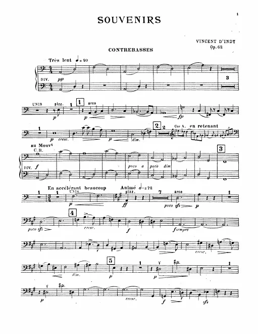 Basses
