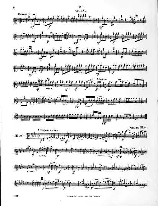 Viola