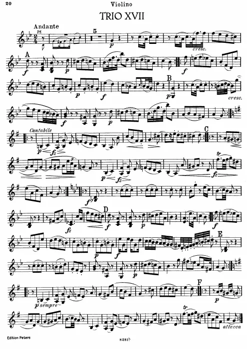 Violin