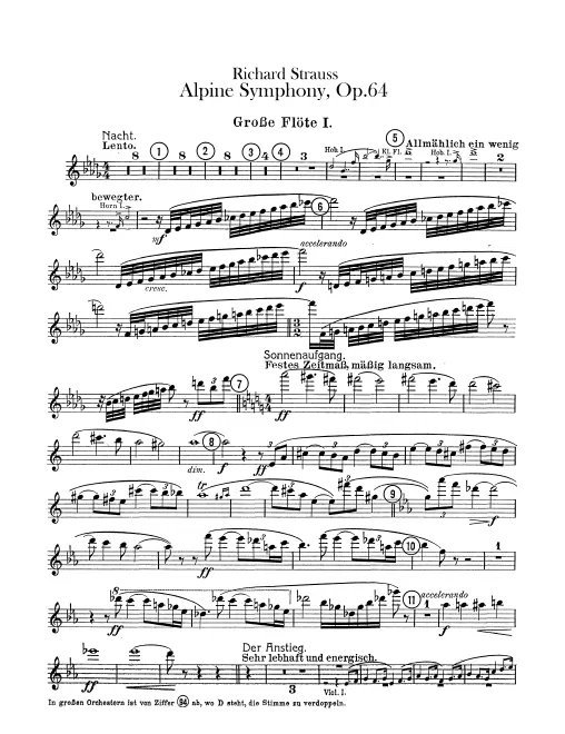 Flute 1