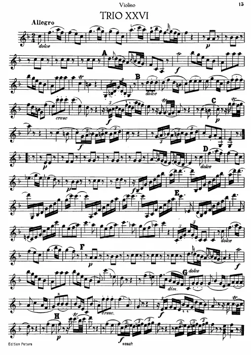 Violin