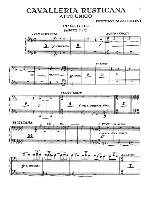 Bassoon 1/2
