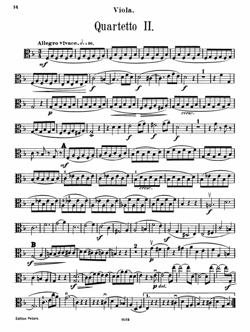 Viola