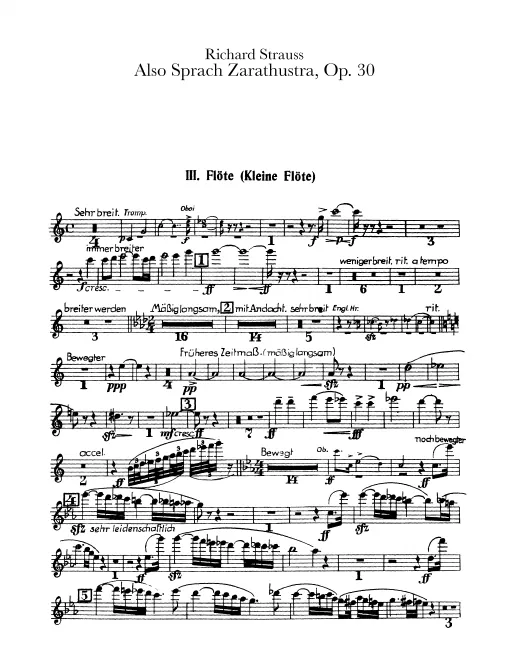 Flute 3/Piccolo 2