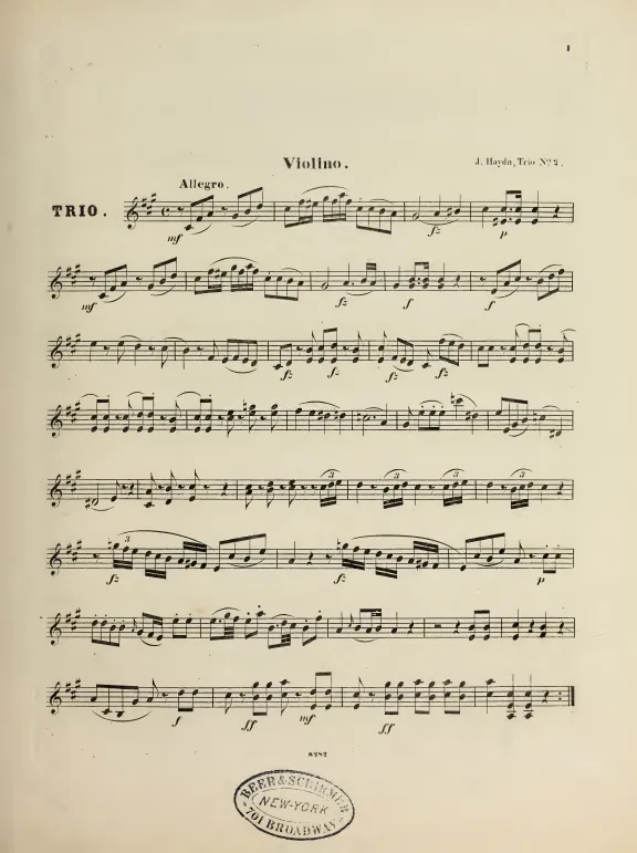 Violin