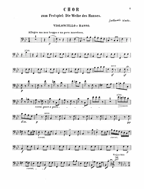Cellos/Basses