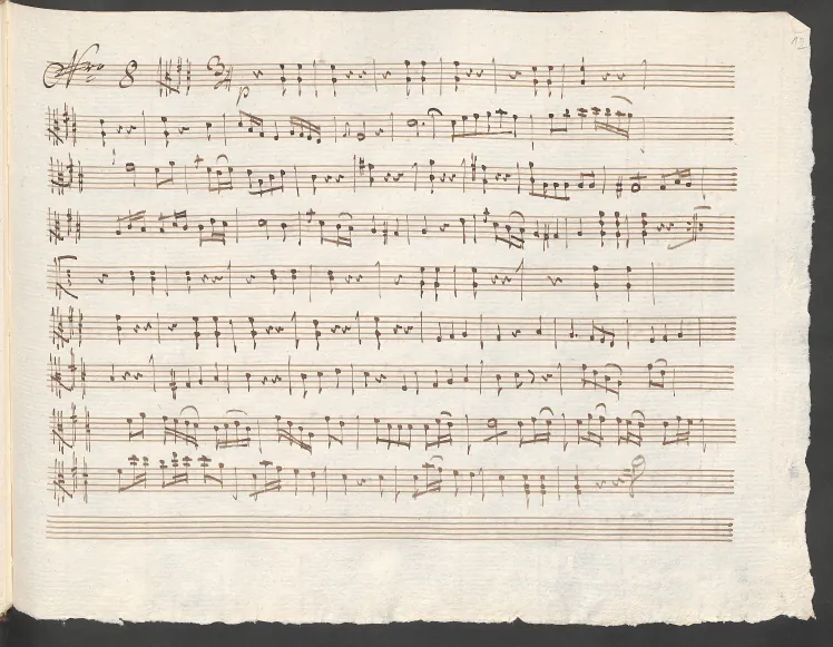 Viola