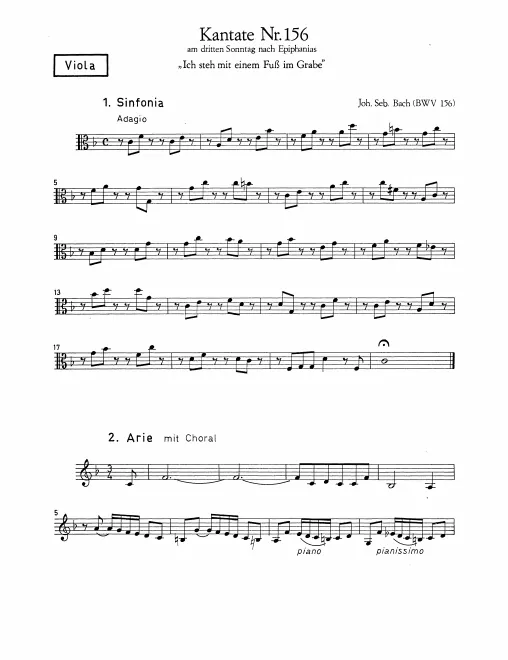 Violas