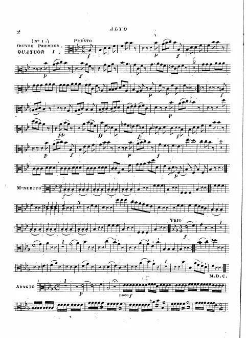 Viola