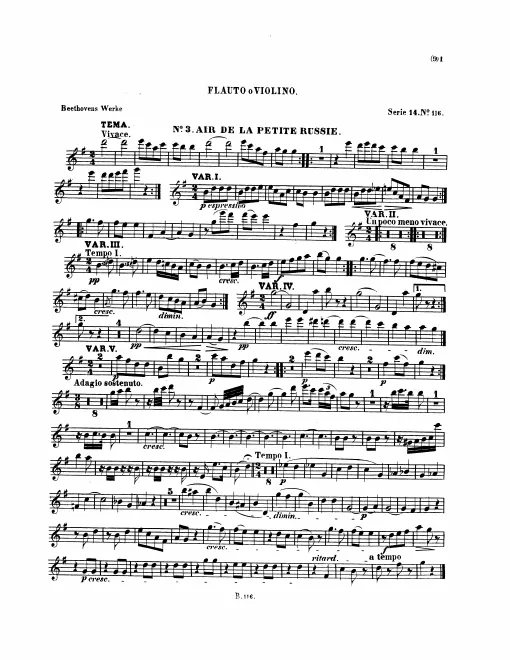 Flute
