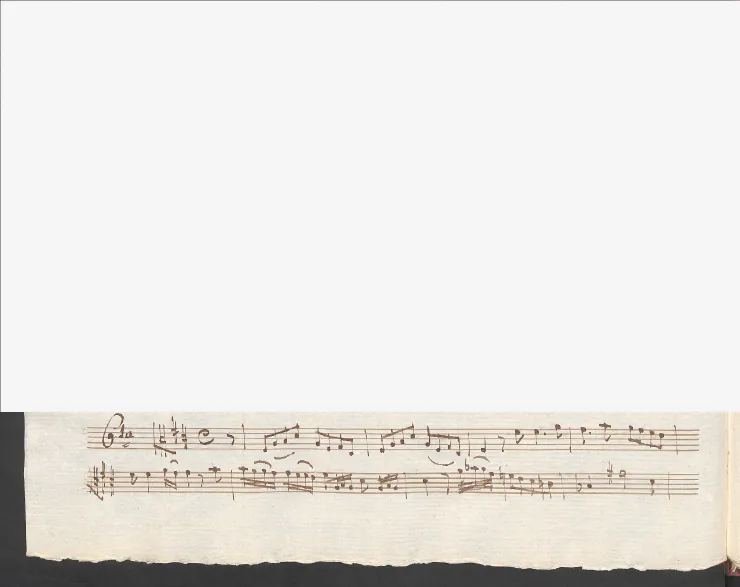 Viola