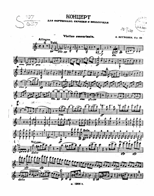 Violin