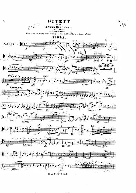 Viola