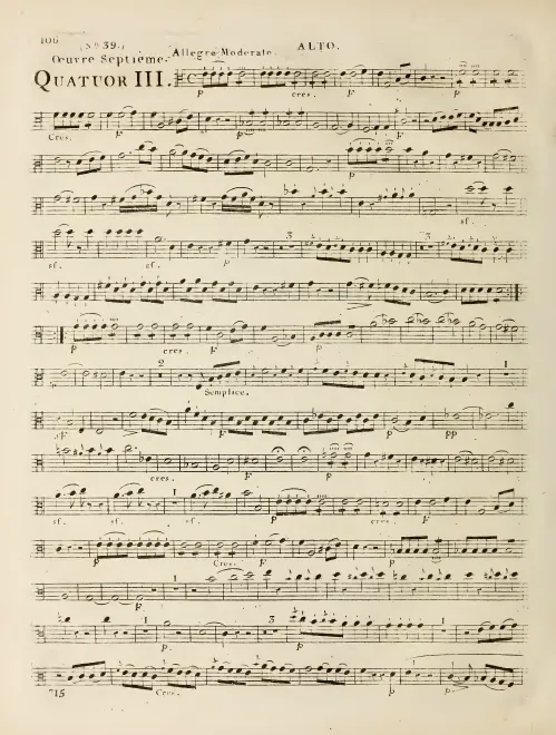 Viola
