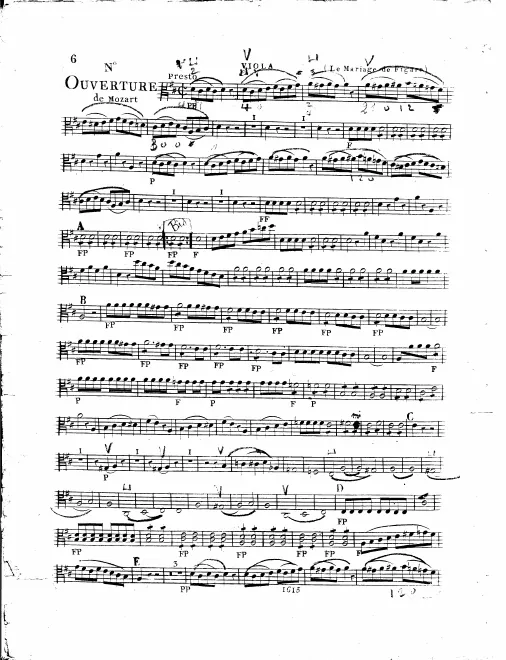 Violas