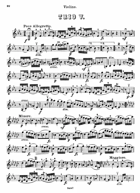 Violin
