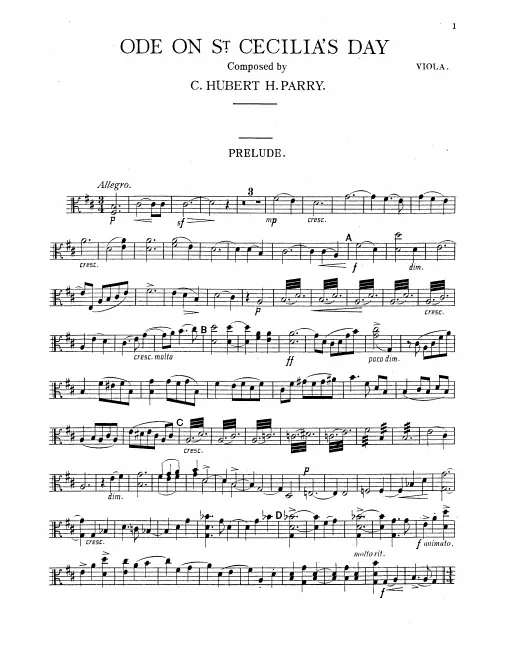 Violas