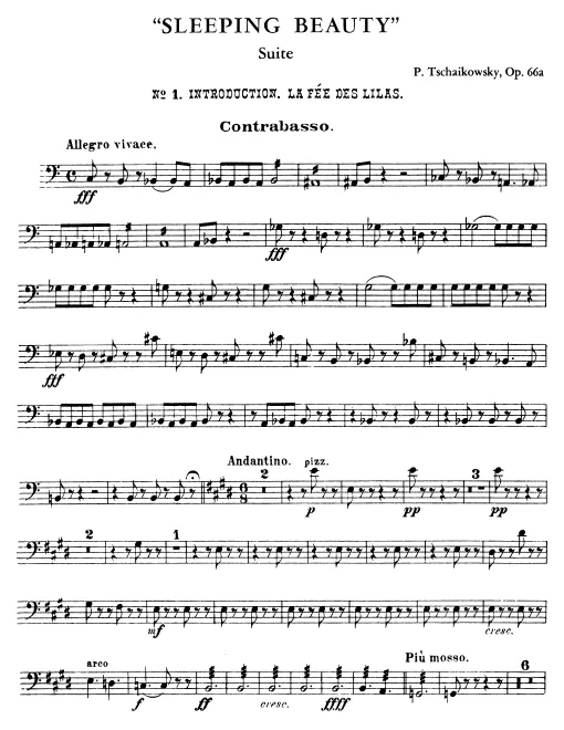 Basses