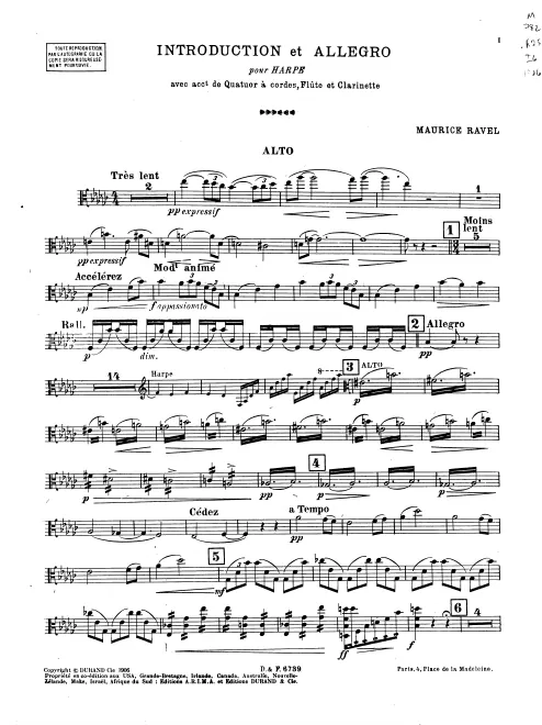 Viola