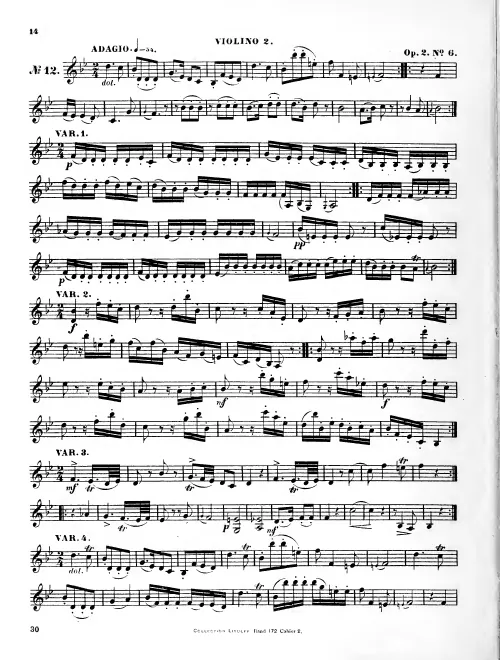 Violin 2