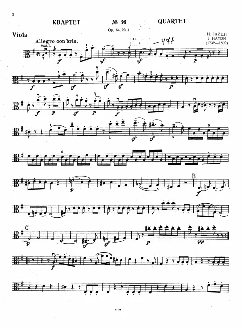 Viola