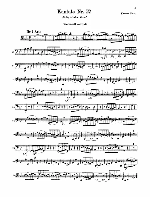 Cellos/Basses