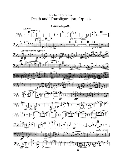 Contrabassoon