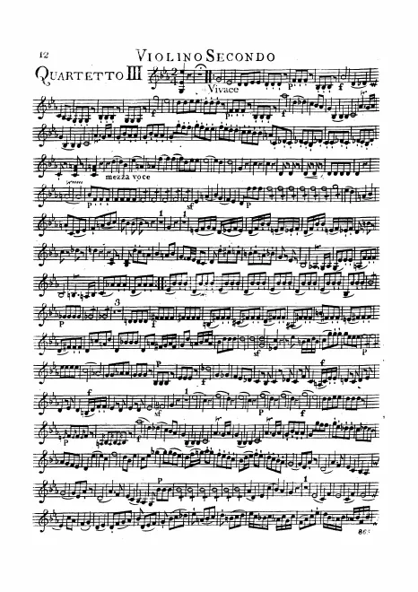 Violin 2