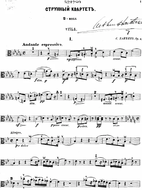 Viola
