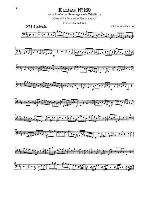 Cellos/Basses
