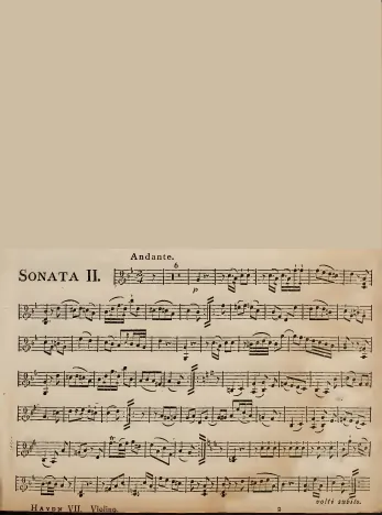 Violin