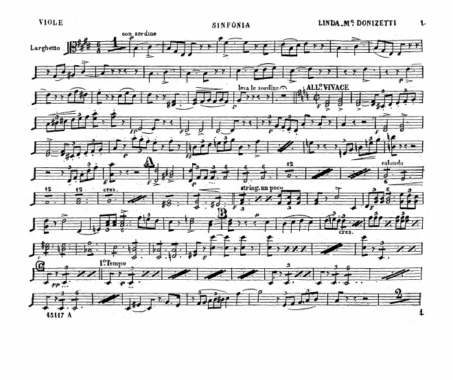 Violas