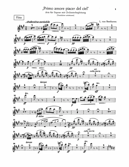 Flute