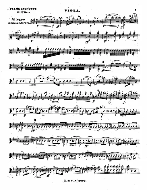 Viola