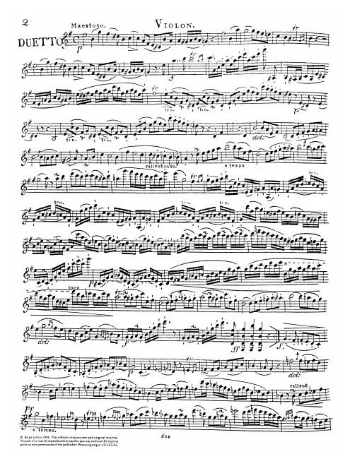 Violin