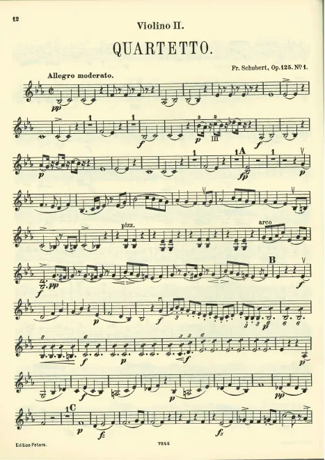 Violin 2