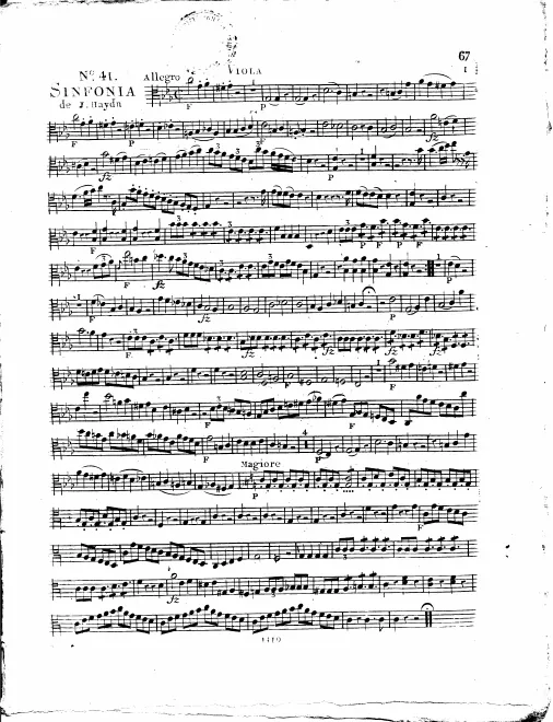 Violas