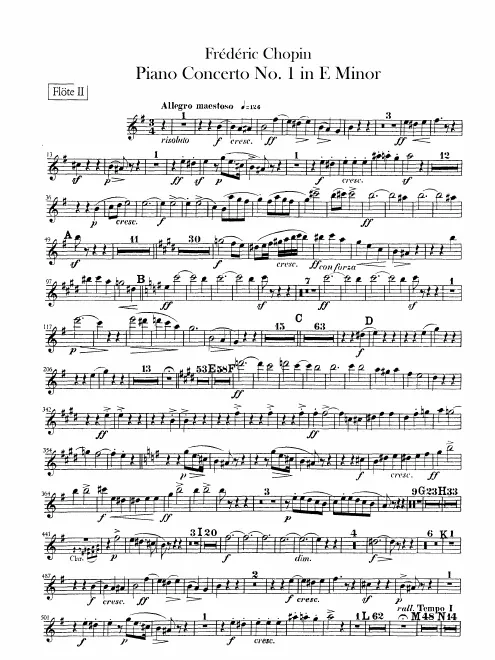 Flute 2