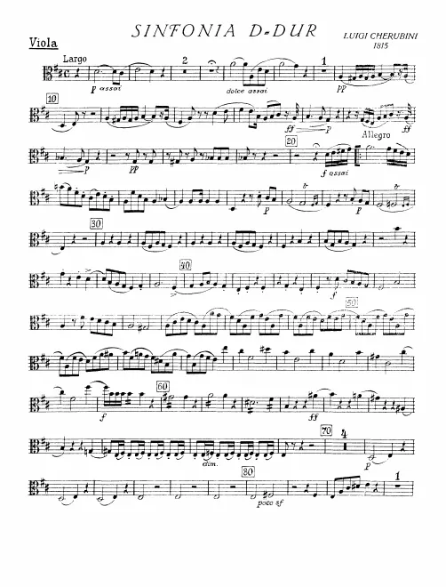 Violas
