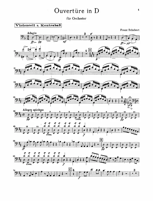 Cellos/Basses