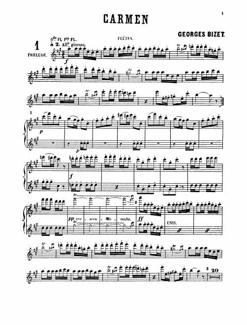 Flute 1/2/Piccolo