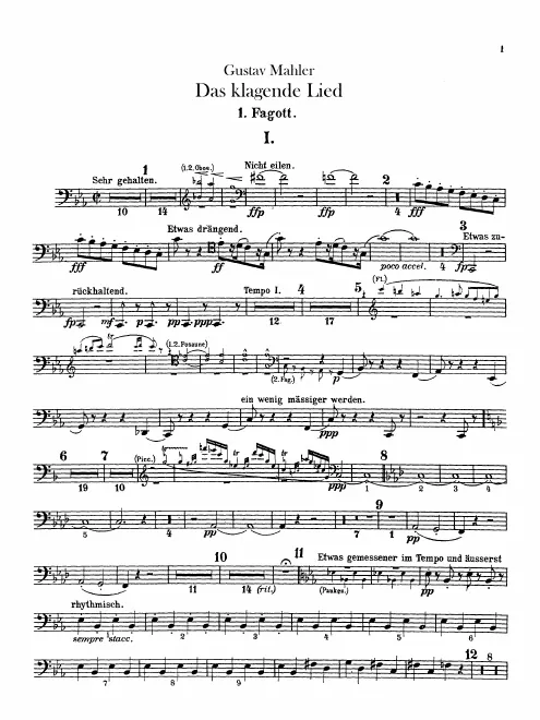 Bassoon 1