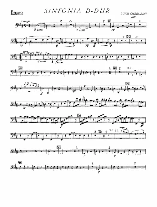 Basses