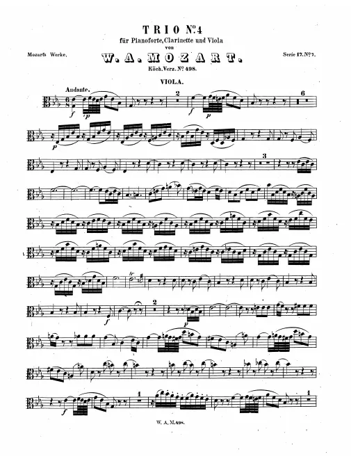 Viola