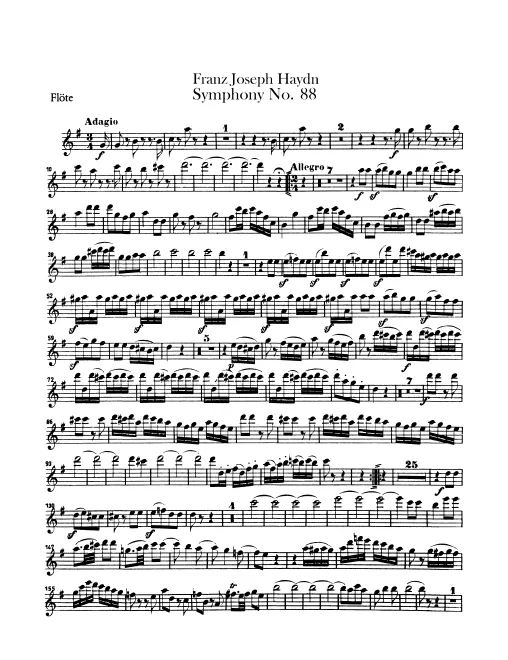 Flute