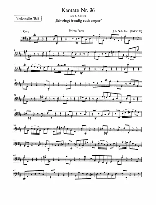 Cellos/Basses