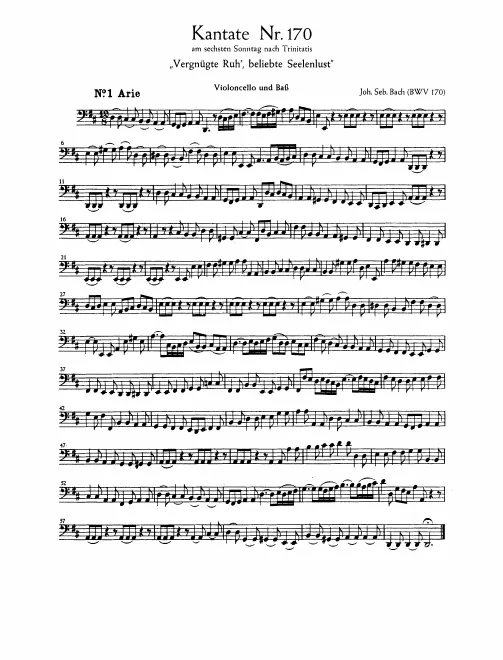 Cellos/Basses