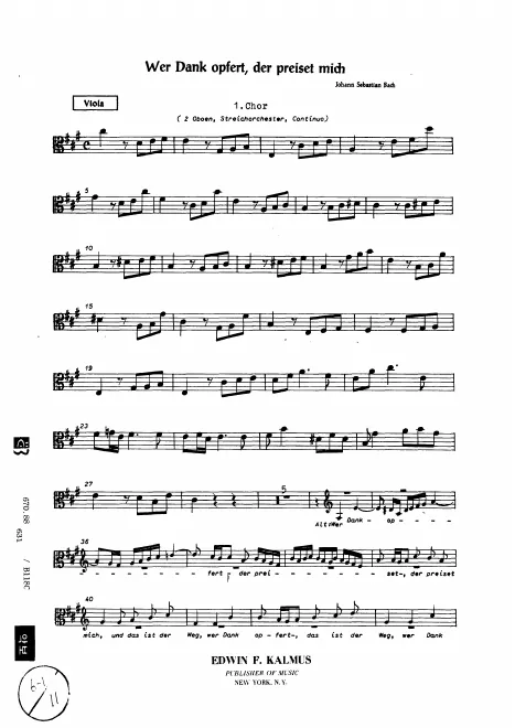 Viola